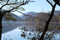 Llyn-Gwynant-autumn-lake_home